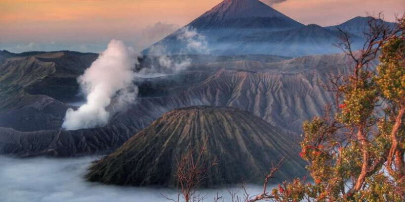 Surabaya: Mount Bromo Sunrise 1-Day Sharing Group Tour - Good To Know