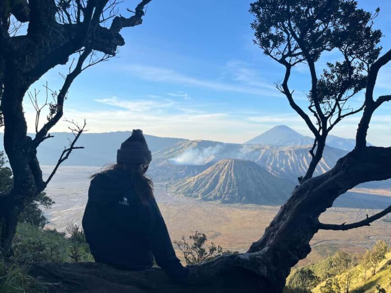 Surabaya: Mount Bromo Sunrise Private Tour - Good To Know