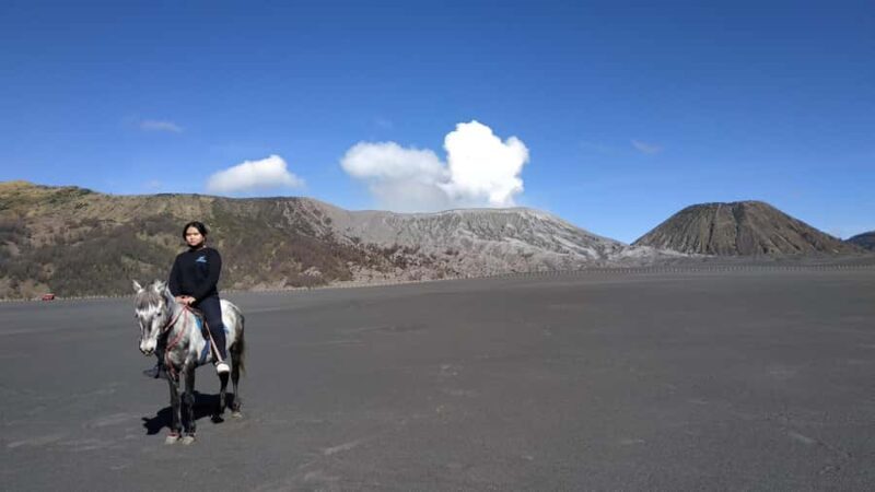 Surabaya or Malang: 2D1N Private Mount Bromo Trekking Tour - What Sets This Tour Apart?