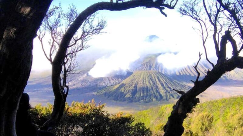 Surabaya or Malang : Bromo, Tumpaksewu waterfall in 2 days - Pricing and Value