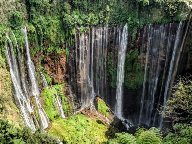 Surabaya: Private Tour 3D2N Tumpak Sewu, Mt Bromo, and Ijen - Experience Highlights