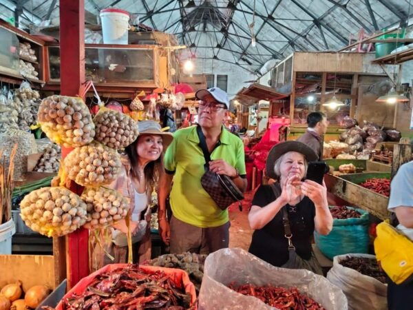 Surabaya Private Tour With Lunch - Tips for Your Tour
