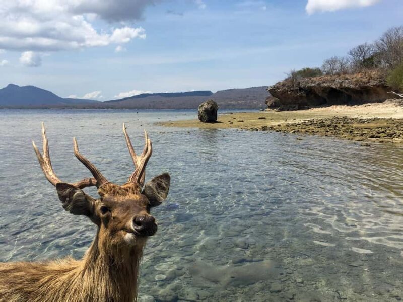 Surabaya to Bali: All Inclusive 9-Day Tour with local guide - FAQ