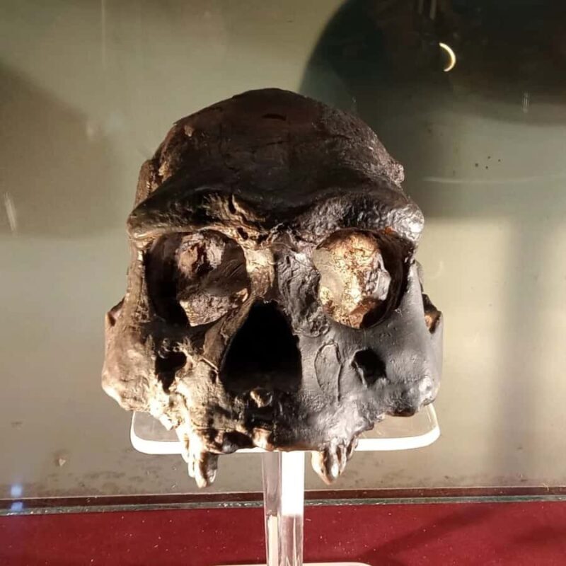 Surakarta : Full-Day Highlights Tour  All Inclusive - Who Would Love This Tour?  