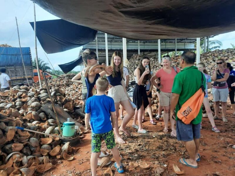 Surat Thani: Coastal Village Life Tour w/ Mangrove & Cooking - What鈥檚 the Value?