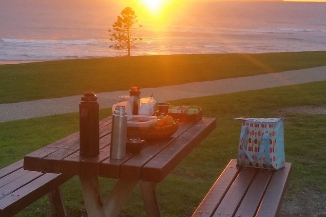 Surf Coast and Livewire Tour - Wildlife Encounters