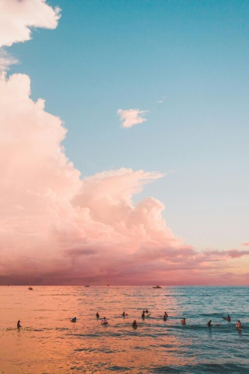 Surf Course 1 Day in France - Experience Highlights