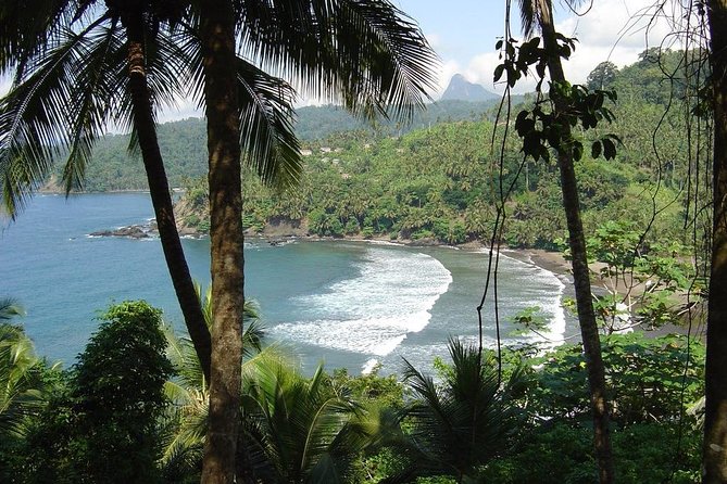 Surf Lessons and Board Rentals - Good To Know