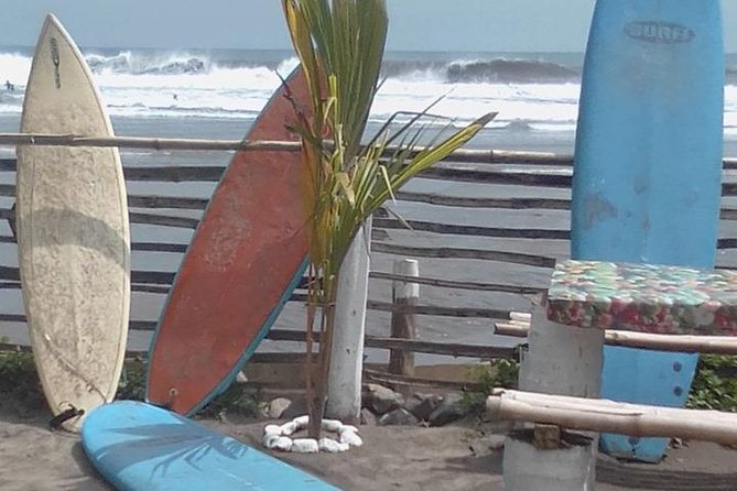 Surf Lessons and Board Rentals - Board Rental Options