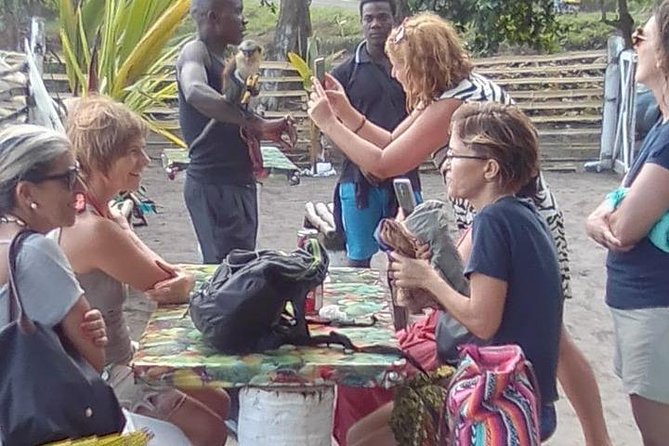 Surf Lessons and Board Rentals - Location and Meeting Point