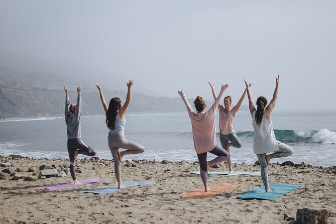 Surf Lessons for Beginners and Intermediates (6 People per Instructor) - Meeting Point & Start Time