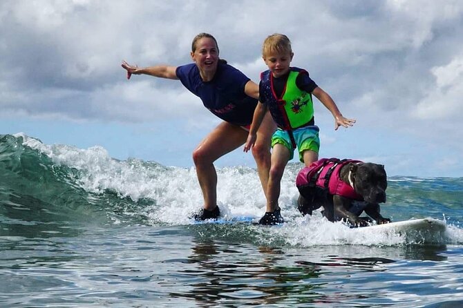 Surf With a Service Animal - World-Renowned Surfing Location