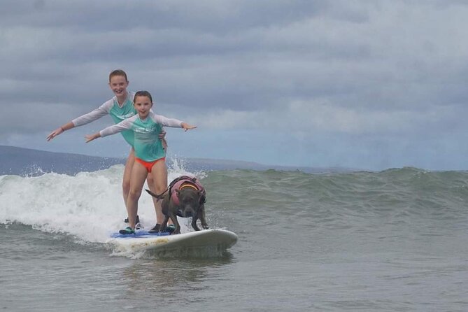 Surf With a Service Animal - Unique and Memorable Experience
