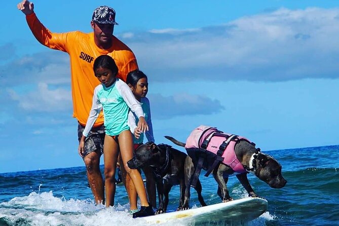 Surf With a Service Animal - Reviews and Ratings