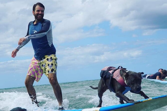 Surf With a Service Animal - Common Questions