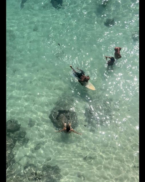 SURFA BALI Curated Surf Lesson + Trip to Spots (Beg. & Int.) - Included Services and Amenities