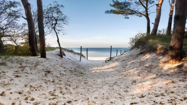 Surfboard Rental in Grzybów - Frequently Asked Questions
