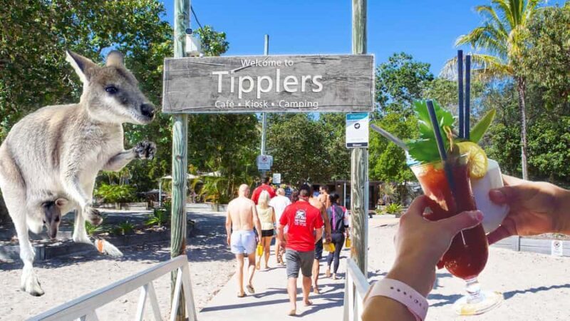 Surfers Paradise: 2 Hour Tropical Island Jet Ski Tour - Authentic Experiences and Insights from Reviewers