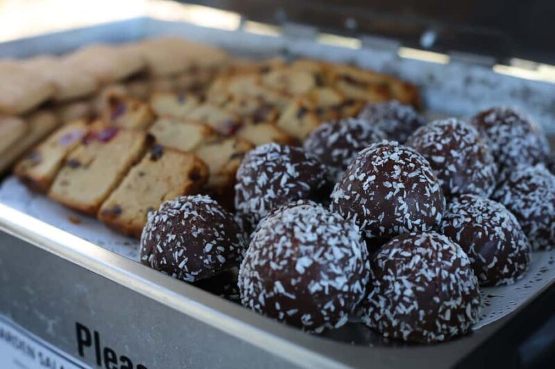 Surfers Paradise: Sightseeing Morning River and Canal Cruise - A Closer Look at the Experience