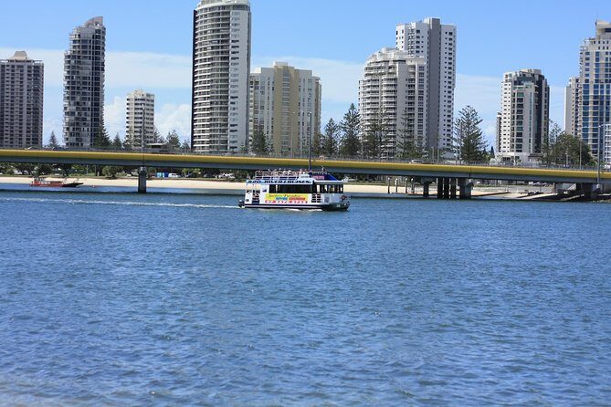 Surfers Paradise Sightseeing River Cruises - Overview of the Experience