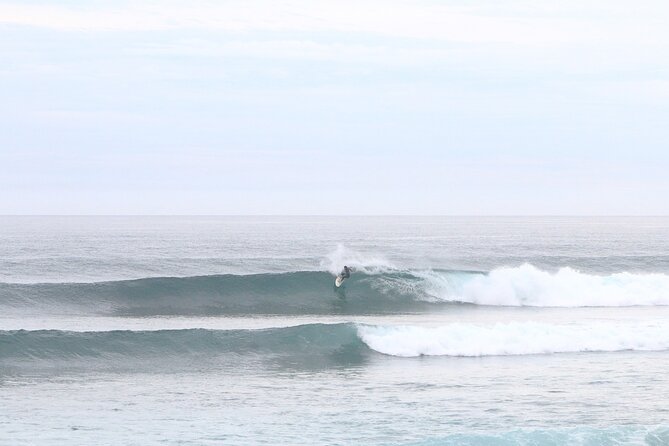 Surfing and 4x4 Trip in Los Cabos With Pickup and Equipment  - Cabo San Lucas - Reviews and Feedback