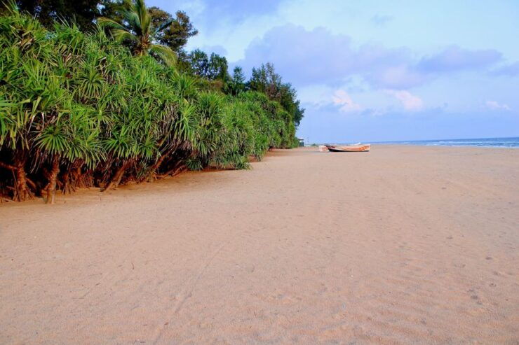 Surfing in Mount Lavinia - Good To Know