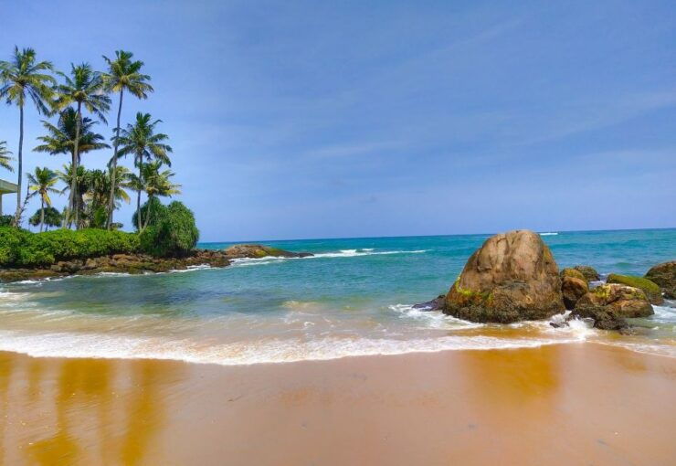 Surfing in Weligama - Booking Details and Options