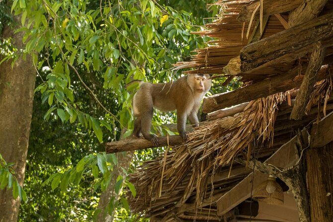 Surin Island by Sawanu Speed Catamaran - FAQs