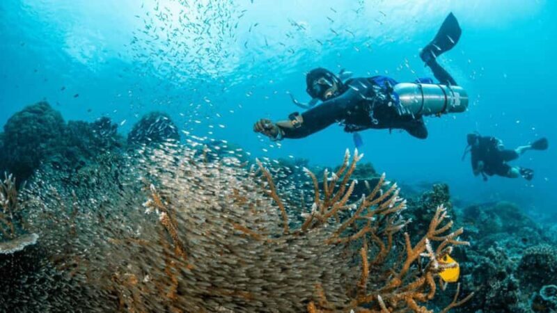 Surin Islands: Diving Day Trip from Khao Lak - An In-Depth Look at the Surin Islands Day Trip