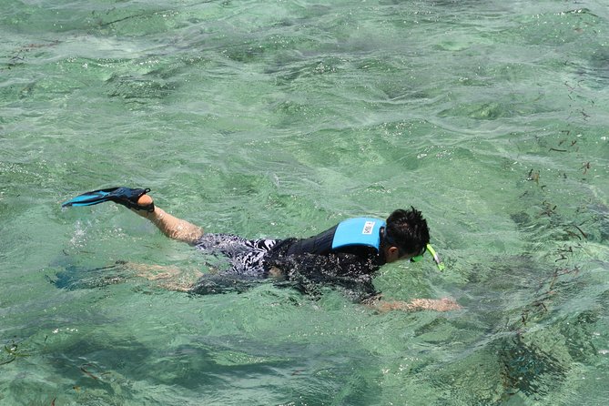 Surin Islands Explorer From Khao Lak - Inclusions