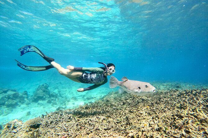 Surin Islands Snorkeling and Beach Trip from Phuket - Good To Know