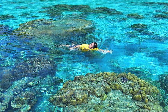 Surin Islands Snorkeling Day Trip By Love Andaman From Khao Lak - Cancellation Policy