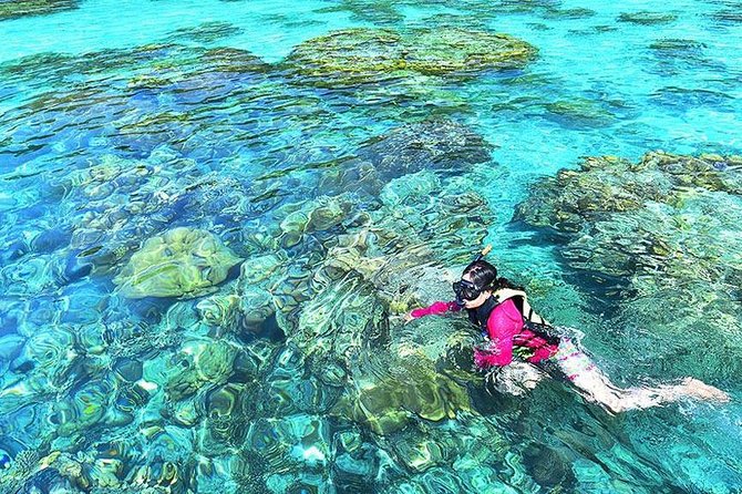 Surin Islands Snorkeling Day Trip By Love Andaman From Khao Lak - Reviews and Questions
