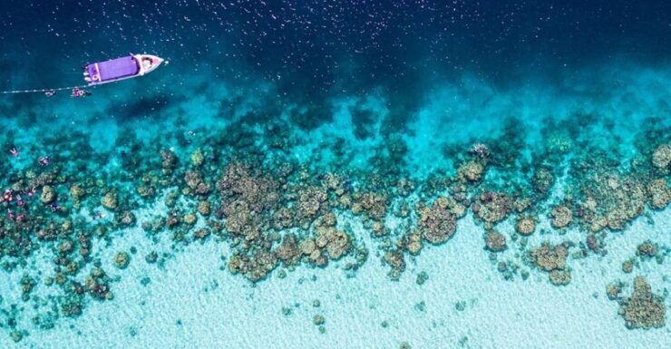 Surin Islands: Swimming & Snorkeling Day Trip - Activity Details and Logistics