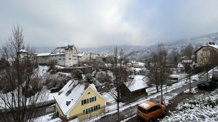 Surprise Tour of Bregenz Guided by a Local - Activity Details