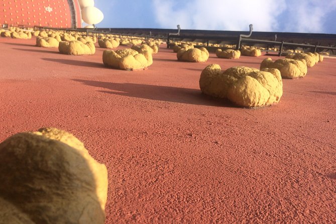 Surreal Experience: Visit the Dalí Museum - Dalís Life and Art