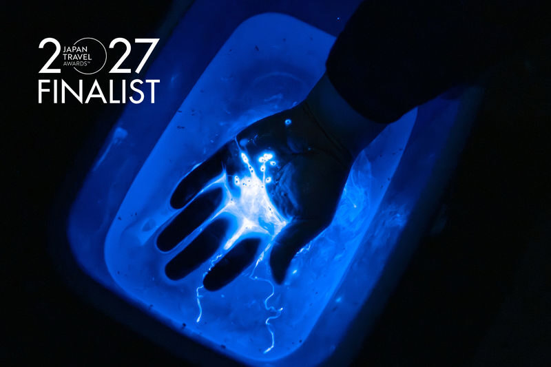 Surreal Marine Bioluminescent Night Experience in Okayama - A blue glow on the Tamano coast