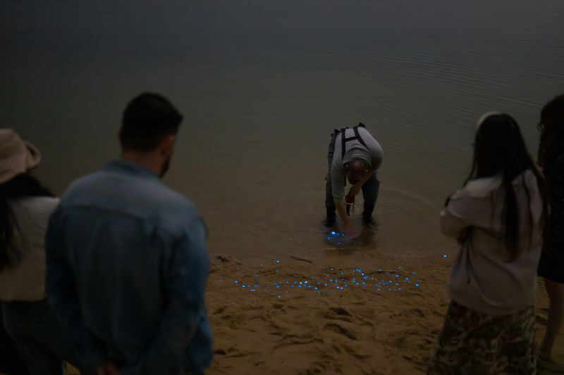 Surreal Marine Bioluminescent Night Experience in Okayama - Who will enjoy this night tour
