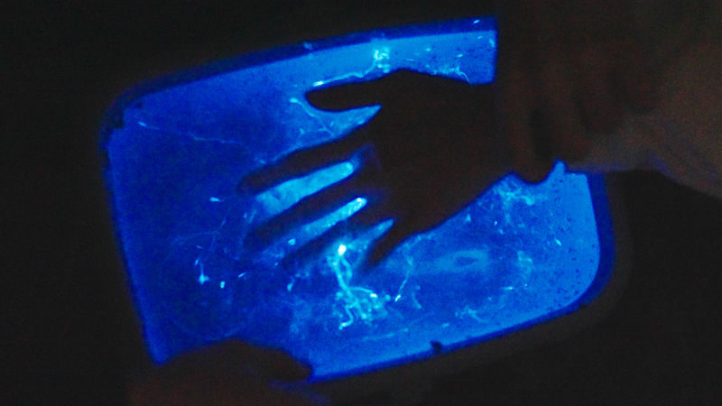 Surreal Marine Bioluminescent Night Experience in Okayama - Practical details to keep in mind