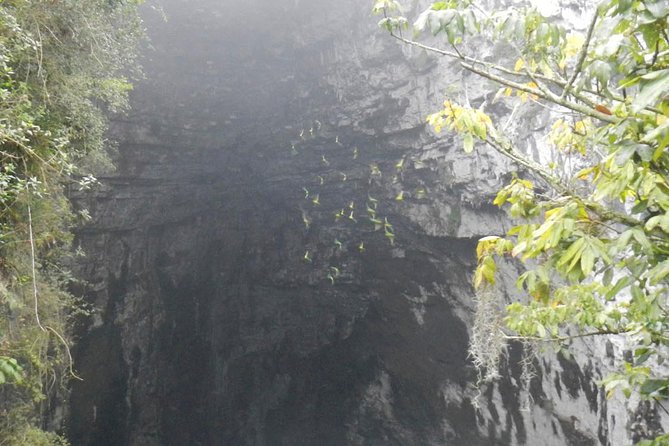 Surrealist Garden Tour in Xilitla and Sotano De Las Huahuas - Pricing and Reservation Details