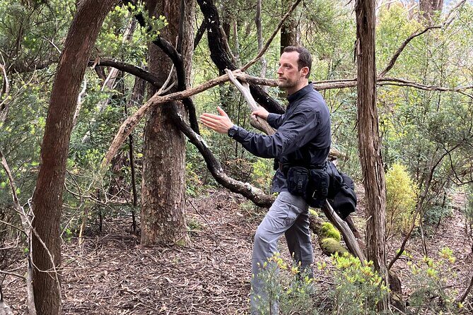 Survival Course & Basic Bushcraft Learning to Survive in the Wild - Introduction