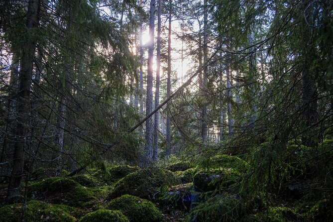 Survival Hike and Tour of Tyresta National Park - Common Questions