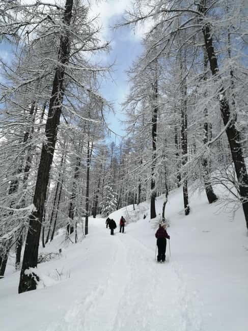 Susa Valley at dawn: snowshoeing in nature and silence - Who Is This Tour Best For?