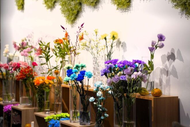 Sushi Making Experience in Shinjuku, Tokyo - Select Participants and Date