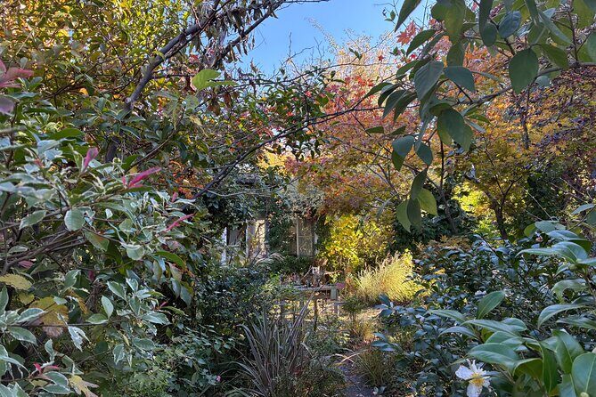 Sushi Making in a Century Old Kamakura Home - The Craftsmanship: Learning from a Sushi Master