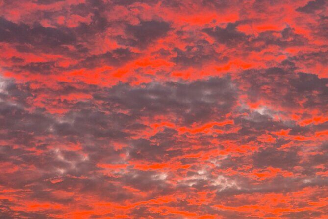 Sushi sunset tour - What to Expect from the Bonaire Sushi Sunset Tour