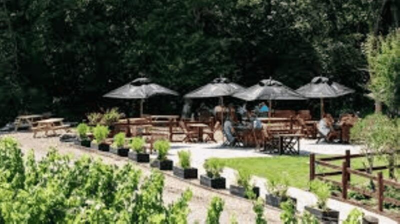 Sussex Vineyard Tour by Minibus - pick up and drop off - An In-Depth Look at the Sussex Vineyard Tour
