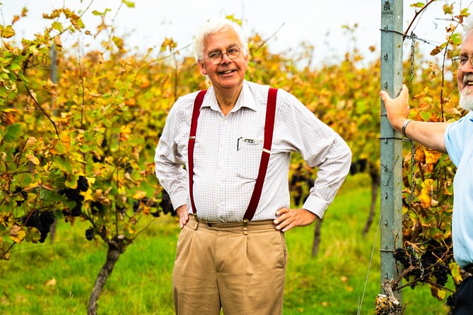 Sussex Vineyard & Winery Bus Tour on Iconic Vintage London Bus - Tour Details