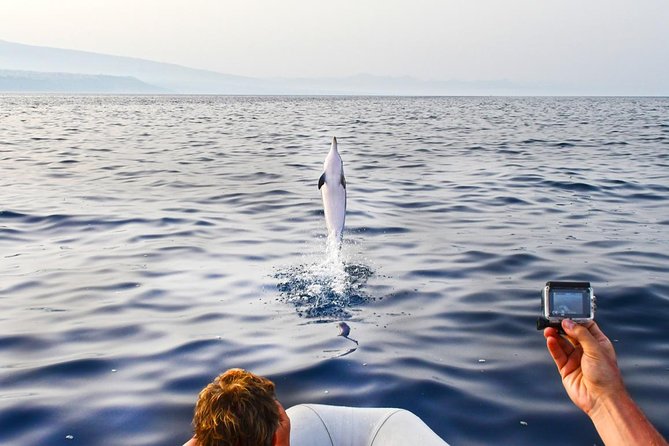 Sustainable Dolphin Watching Tour With Marine Biologist  - Sicily - Tour Details