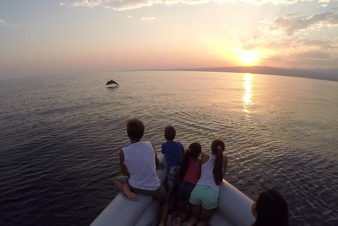 Sustainable Dolphin Watching Tour With Marine Biologist  - Sicily - Tour Experience